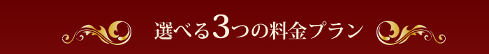 選べる3つの料金プラン