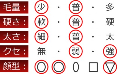似合う髪質・顔型